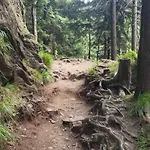 Trzynastka Nowy Gieraltow