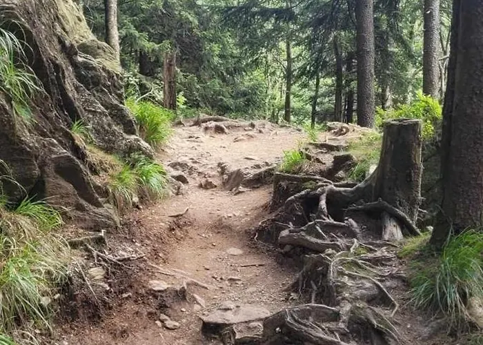 Trzynastka Nowy Gieraltow